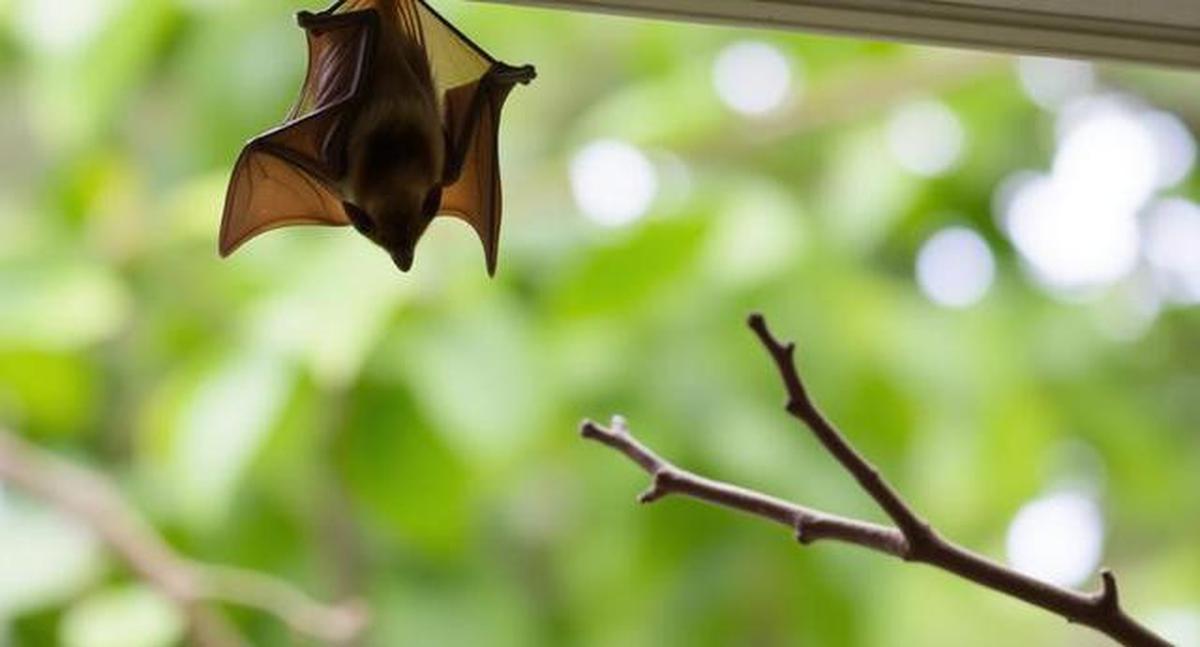 Penularan Virus Nipah Lebih Dekat dari yang Dikira, Kenali Jalur Penyebarannya