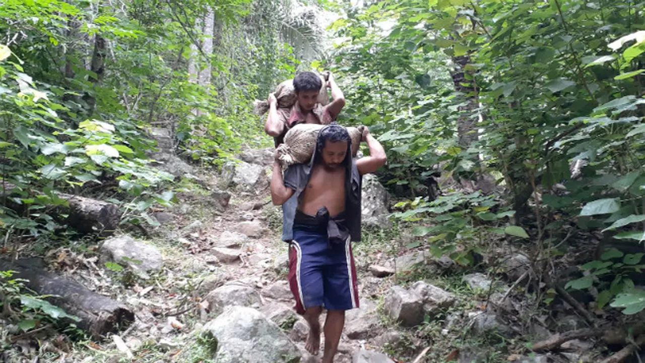 Potret Buruh Kijang Pengangkut Stok Emas di Gorontalo