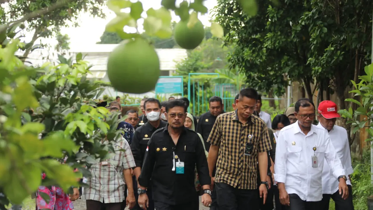 Pengelolaan Benih Sumber VUB di NTB Sukses Tingkatkan Produktivitas