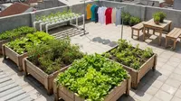 16 Model Rumah Kecil dengan Rooftop untuk Bertani di Lahan Sempit