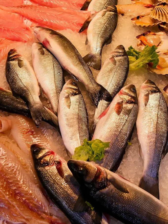 Ikan