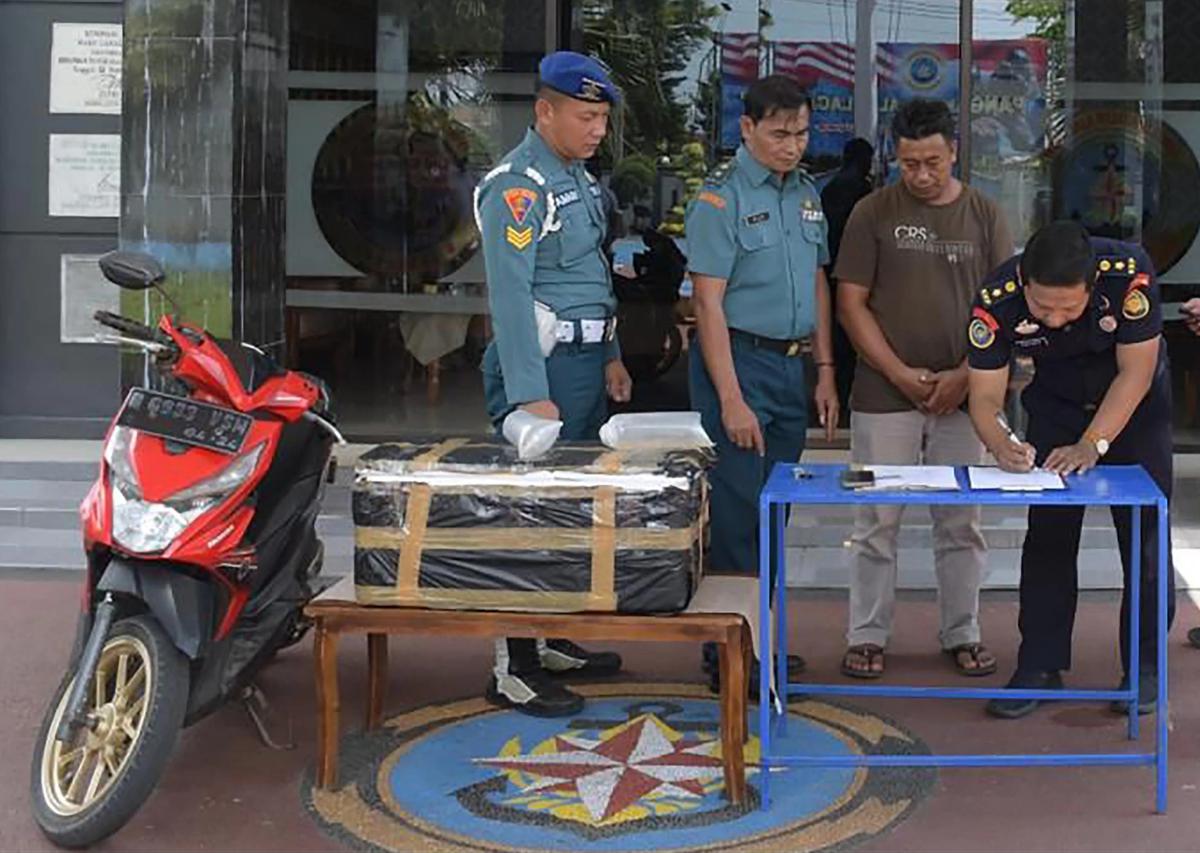 FOTO: TNI AL Gagalkan Penyelundupan Benih Lobster Ilegal di Cilacap