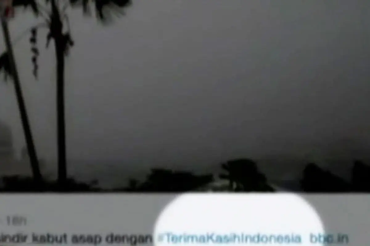 #TerimaKasihIndonesia, Sindiran Singapura dan Malaysia Soal Asap