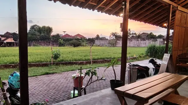 Tempat Makan View Sawah di Jogja