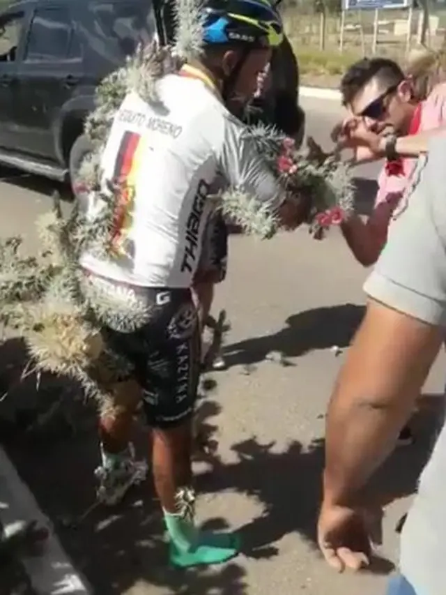 Tak Melihat Lubang di Jalan, Pengendara Sepeda Ini Menabrak Ribuan Kaktus