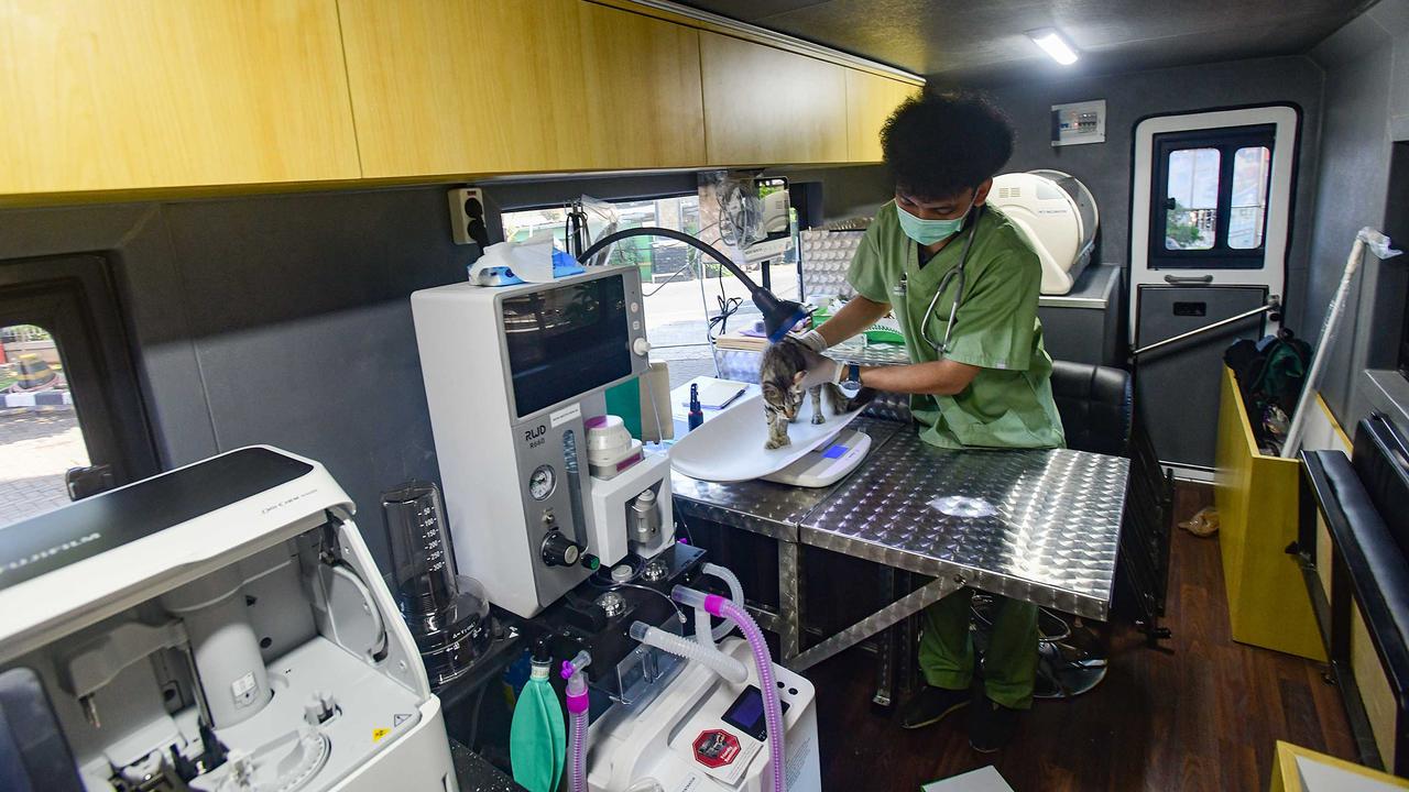 Warga Manfaatkan Layanan Klinik Hewan Keliling