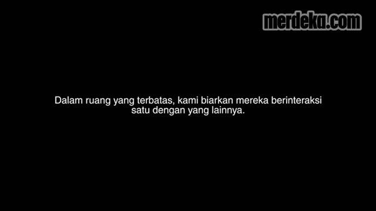 VIDEO: Persahabatan Tanpa Batas