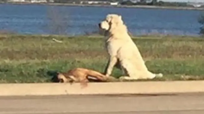 Photo: Copyright cbnews.com