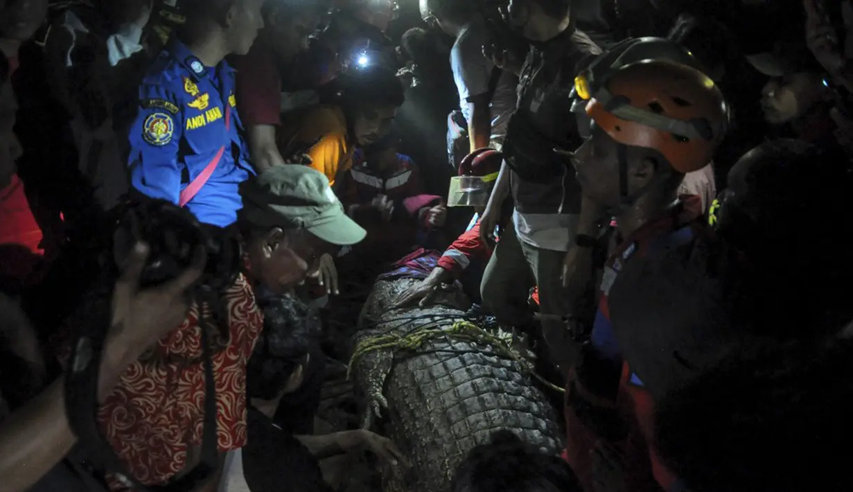 Warga membebaskan seekor buaya dari ban yang tersangkut pada lehernya selama sekitar lima tahun sebelum dilepaskan ke sungai di Palu, Sulawesi Tengah, 7 Februari 2022. Butuh waktu hampir satu jam untuk menarik buaya berkalung ban itu ke sungai. (MUHAMMAD RIFKI/AFP)