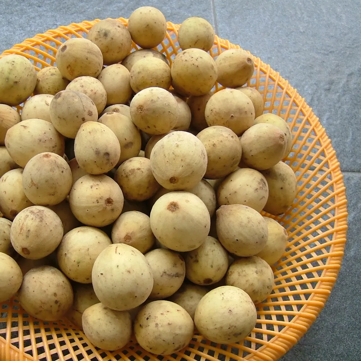 Manfaat Duku Untuk Pencernaan: Pentingnya Konsumsi Buah Duku