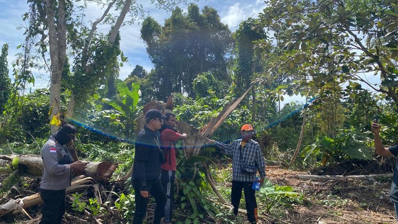 Kaum Saogo ini adalah orang yang sebelumnya diberi mandat Kaum Sakerebeu untuk mengurus tanah tersebut.