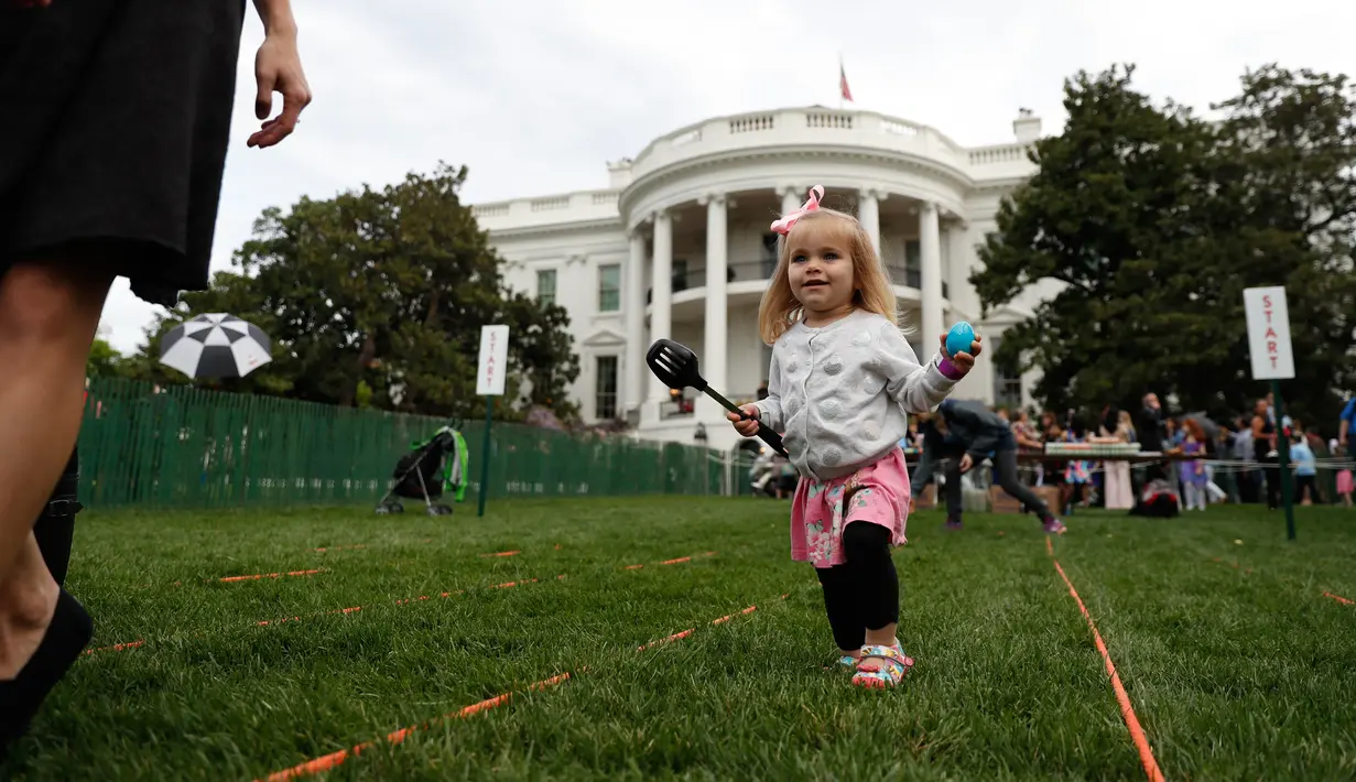 Seorang bocah saat mengikuti lomba menggelindingkan telur di halaman Gedung Putih, Washington, Senin (17/4). Lomba yang digelar rutin setiap tahunnya di Gedung Putih ini untuk merayakan hari raya Paskah. (AP Photo/Carolyn Kaster)