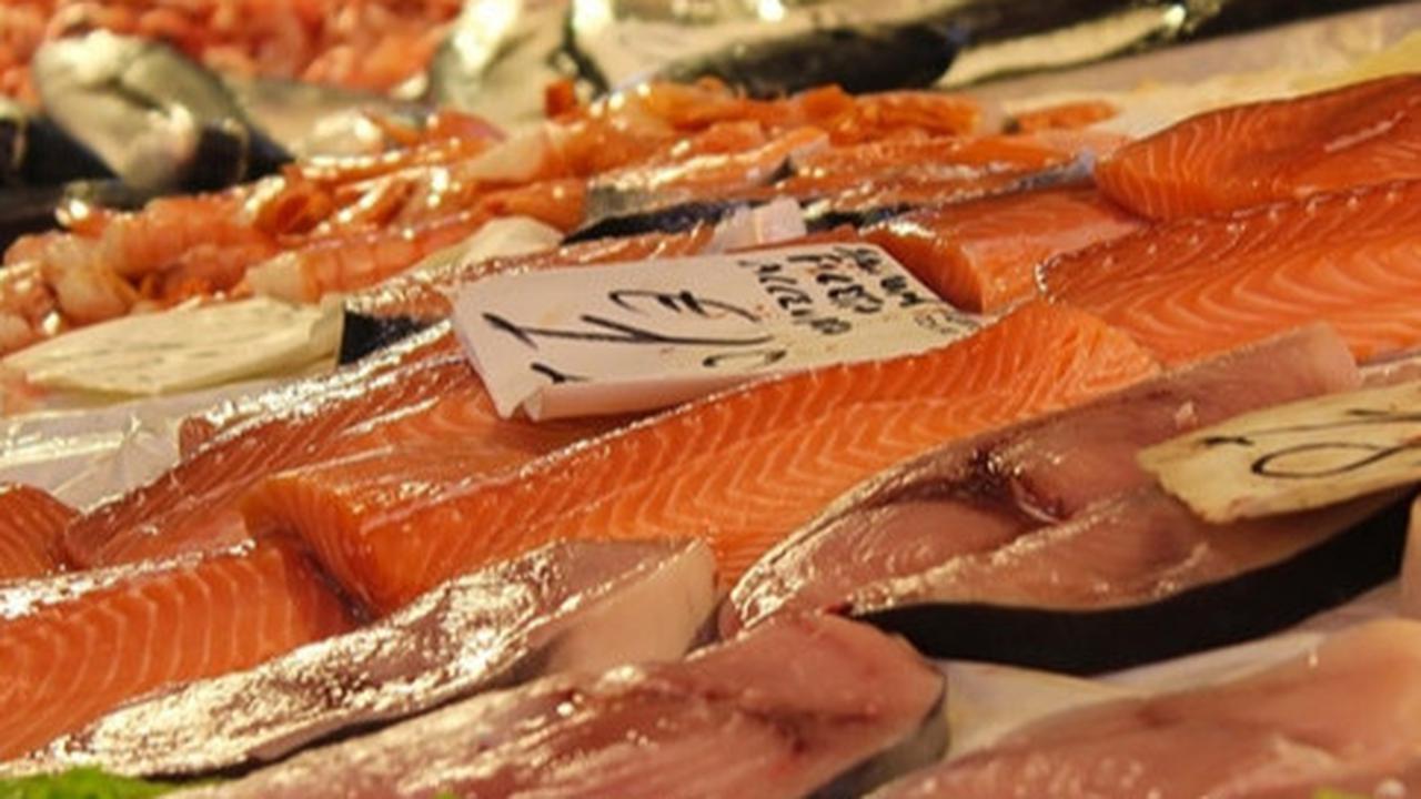 Ikan tuna