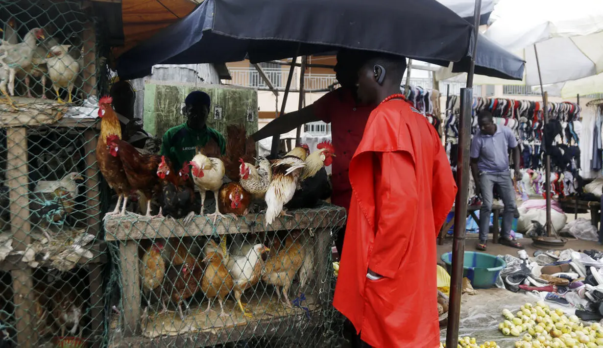 Seorang pria membeli ayam di pasar Kaporo di Conakry, Guinea, Senin (13/9/2021). Pasukan elit militer Guinea melakukan kudeta dan menangkap Presiden Alpha Conde pada Minggu, 5 September lalu. (AP Photo/ Sunday Alamba)