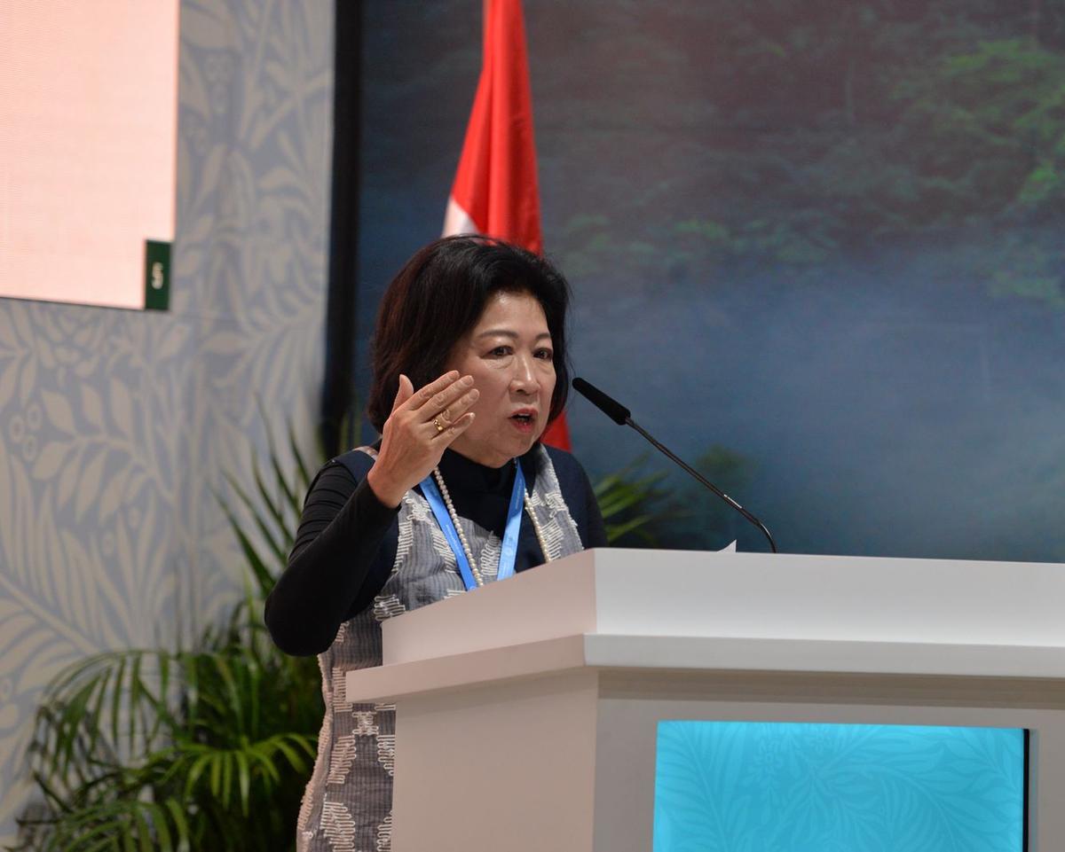 COP29 Azerbaijan