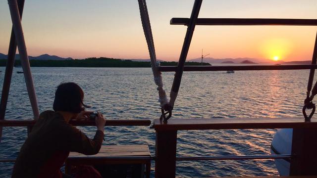 Atraksi Kelelawar di Pulau Kalong Bikin Wisatawan Jepang Tercengang