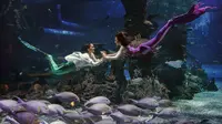 Lebaran di Jakarta, ke Jakarta Aquarium dan Safari Aja