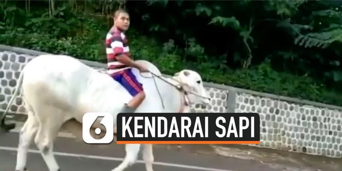 VIDEO: Bikin Ngakak, Warga Kendarai Sapi ke Minimarket