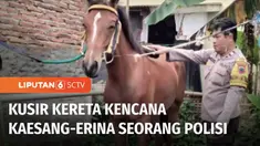 Kirab kereta kencana akan menjadi bagian dari tasyakuran pernikahan Kaesang dan Erina. 12 kereta telah disiapkan untuk mengangkut rombongan pengantin dan keluarga. Kereta kencana yang akan membawa pasangan mempelai dikusiri seorang polisi, Aiptu Wars...