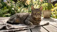 Ilustrasi kucing (AI Generated)