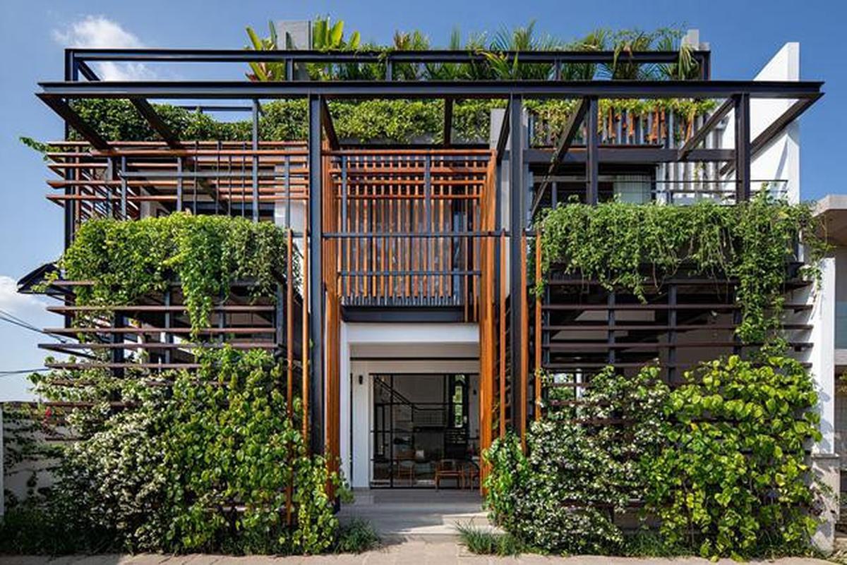 10 Model Tampak Depan Rumah Minimalis Asri dengan Tanaman Rambat, Bikin Hunian Teduh
