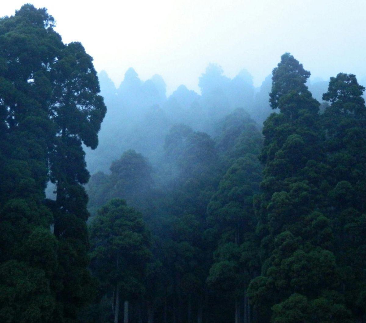 Daerah tersebut terletak di bawah bayang-bayang gunung berapi yang menciptakan tanah lokal yang subur namun juga mungkin menyebabkan kehancuran masyarakat.