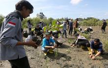 Fakta: Butuh Puluhan Tahun, Bukan Seminggu untuk Restorasi Lingkungan Indonesia Pasca Kerusakan