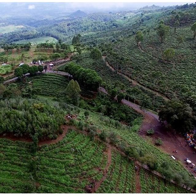8 Tempat Wisata Di Ngawi Terpopuler Paduan Alam Dan Tempat