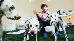 Poster Album 'Who Cares?' Rex Orange County (twitter.com/rexorangecounty)