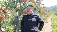 Pemimpin Korea Utara, Kim Jong-Un tersenyum ketika mengunjungi sebuah perkebunan buah apel di Kwail County, provinsi Hwanghae Selatan pada foto yang dirilis Kamis (21/9). (STR / KCNA VIS KNS / AFP)