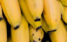 Manfaat Pisang Ambon bagi Kesehatan Tubuh, Sumber Folat yang Baik untuk Ibu Hamil