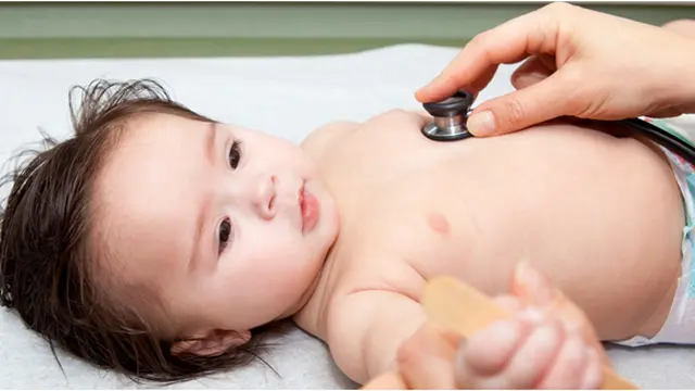 Foto: copyright Shutterstock.com