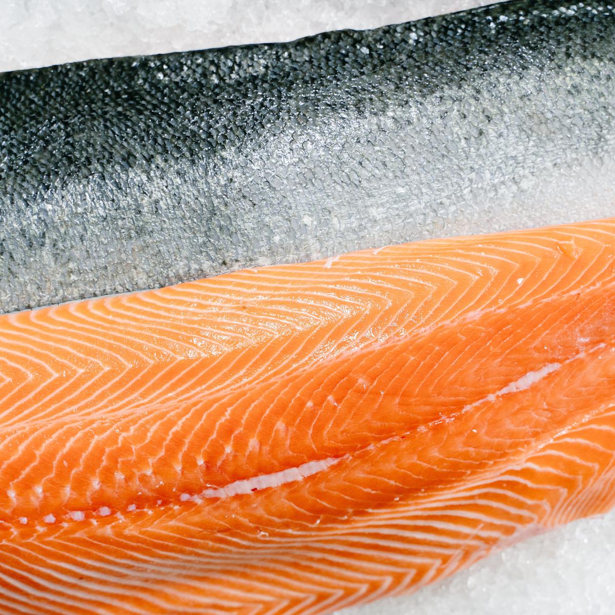 Contoh ilustrasi daging salmon