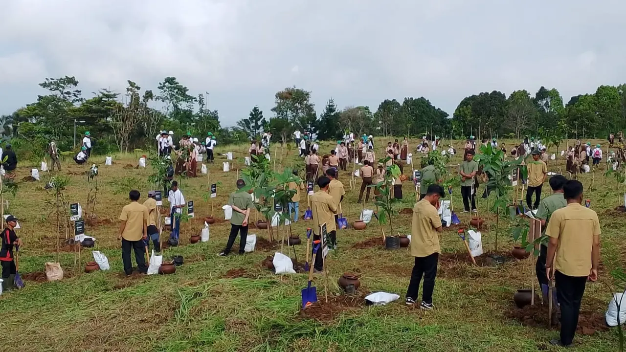 KLH Rintis Arboretum di Puncak Bogor demi Pulihkan Hulu DAS Ciliwung, Dimulai dari Tanam 350 Bibit Pohon Endemik