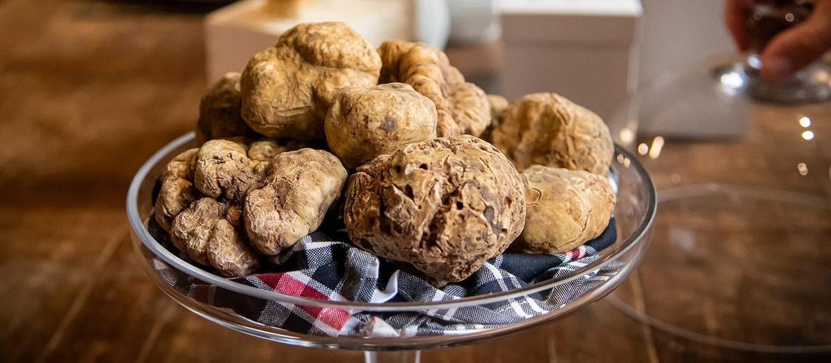 White Truffle