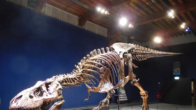 DInosaurus