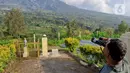 Petugas mengamati aktivitas Gunung Merapi di Pos Pengamatan Gunung Api Jrakah, Kecamatan Selo, Boyolali, Jawa Tengah, Minggu (8/11/2020). BPPTKG melaporkan adanya potensi erupsi akibat aktivitas vulkanik Gunung Merapi, seperti guguran lava, lontaran material hingga awan panas. (Liputan6.com/Gholib)