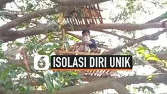 thumbnail isolasi di atas pohon