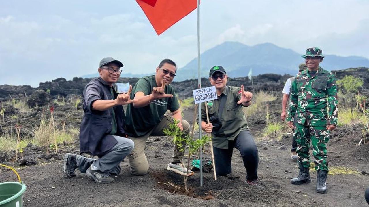 BKSDA Bali Gandeng LSM Lakukan Reboisasi TWA Gunung Batur, Tanam 3.000 Bibit Pohon