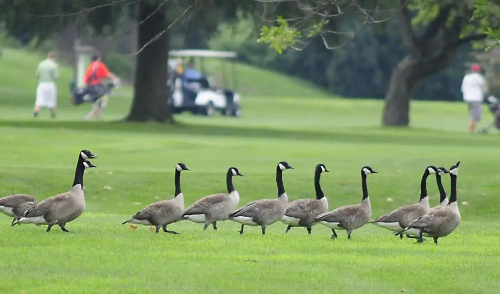 Source: http://www.springfieldnewssun.com