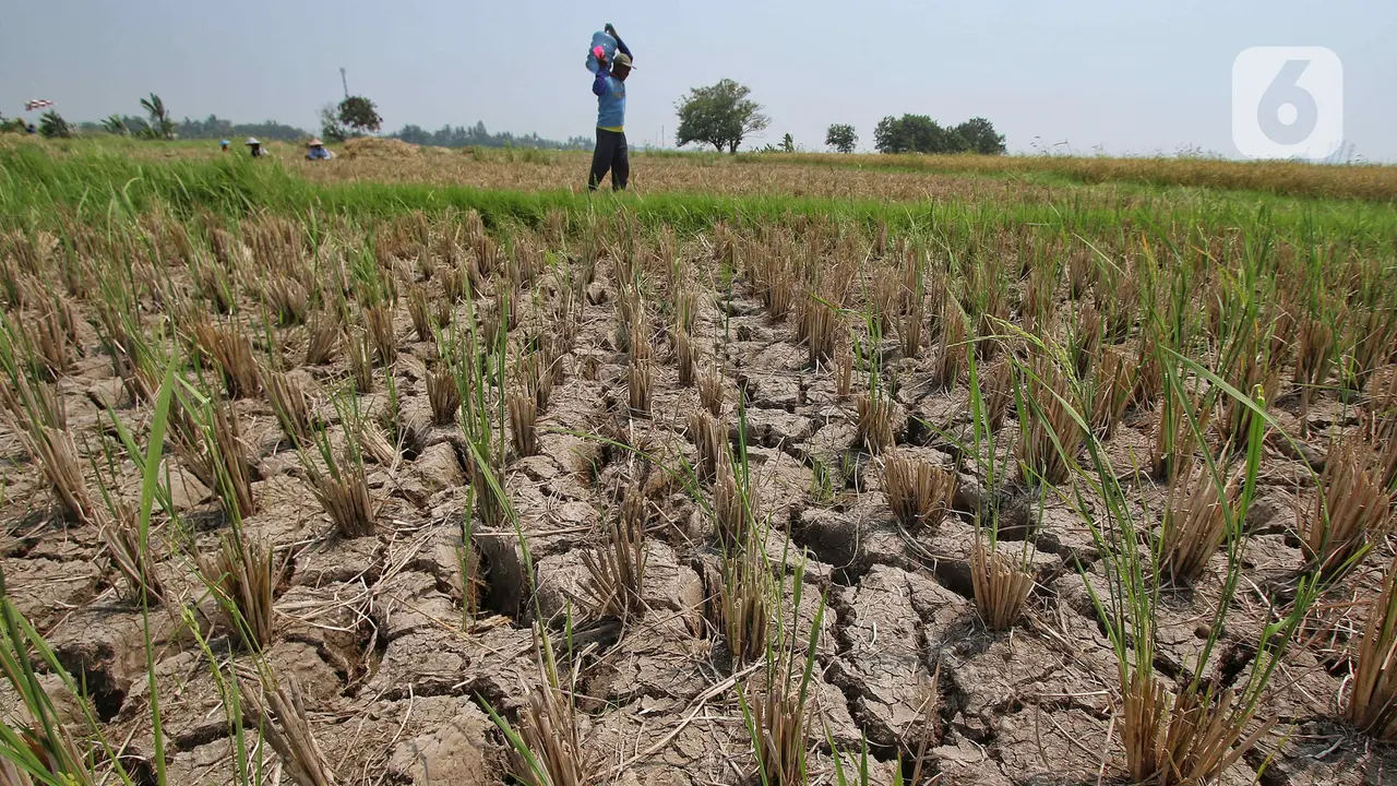 Menteri PU Bentuk Satgas El Nino