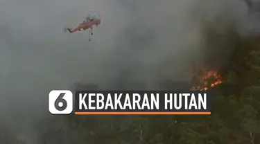 THUMBNAIL KEBAKARAN HUTAN