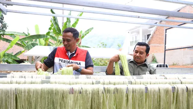 Alan Sahroni, pendiri Pinlefi yang diambil dari Pineaple Leaf Fiber bersama dengan Head of Communication, Relations & CID Pertamina EP Zona 7 Wazirul Lutfi sedang memilah serat daun nanas. (Dok Pertamina EP)