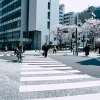 Ya, namanya juga netizen! Tapi, nggak ada salahnya untuk melihat berbagai pendapat netzen soal JPO di HI yang diganti dengan pelican crossing. (Ilustrasi: Pexels.com)