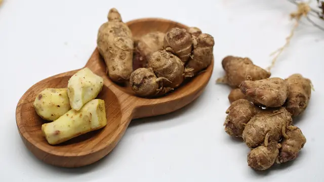 manfaat kencur untuk kesehatan