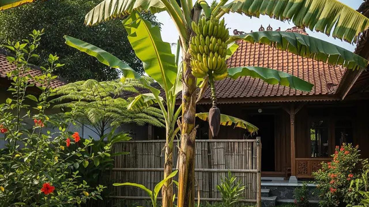 7 Jenis Tanaman Rimbun yang Jadi Tempat Favorit Ular Bersarang, Kenali dengan Pasti