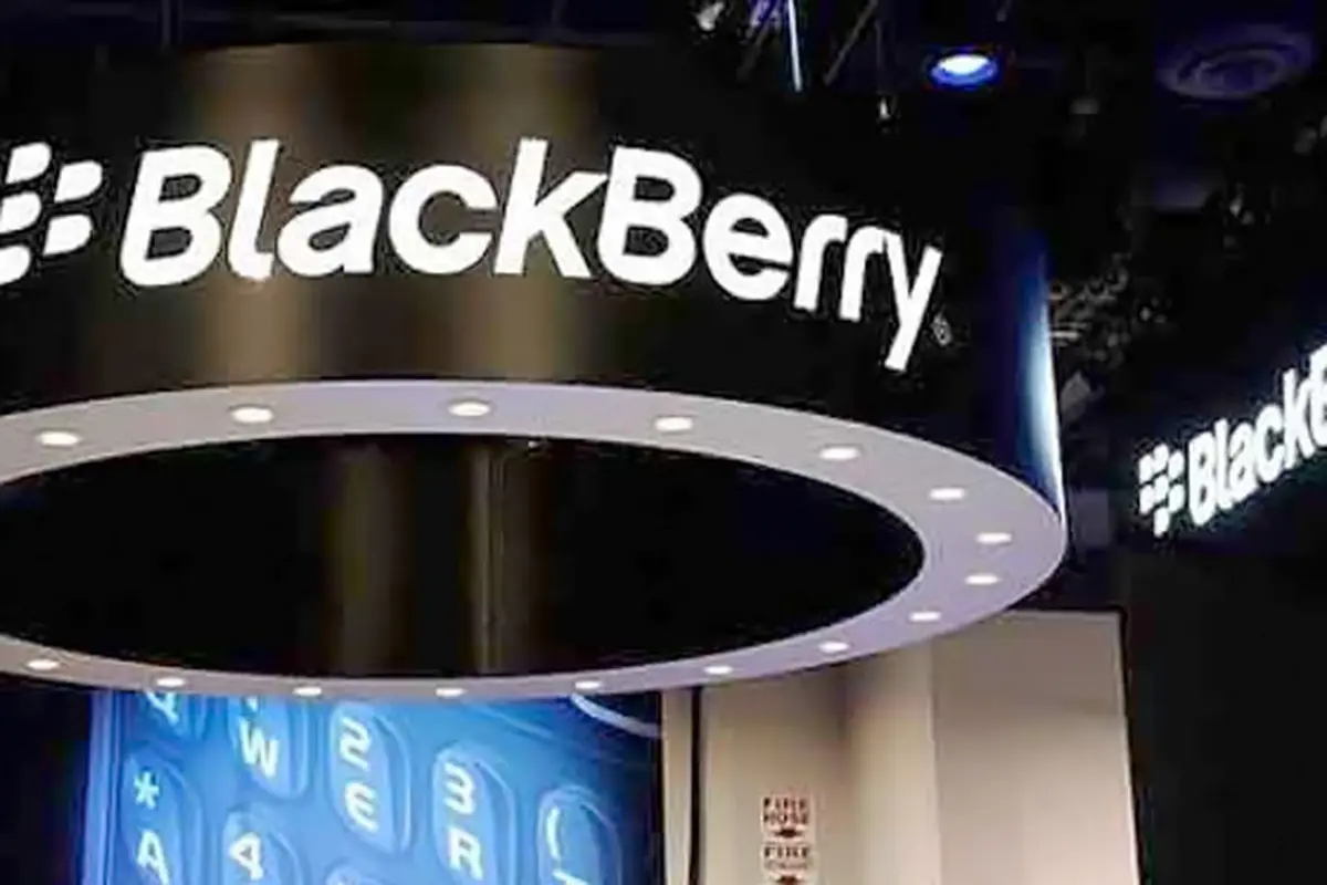 back-berry-131010b.jpg
