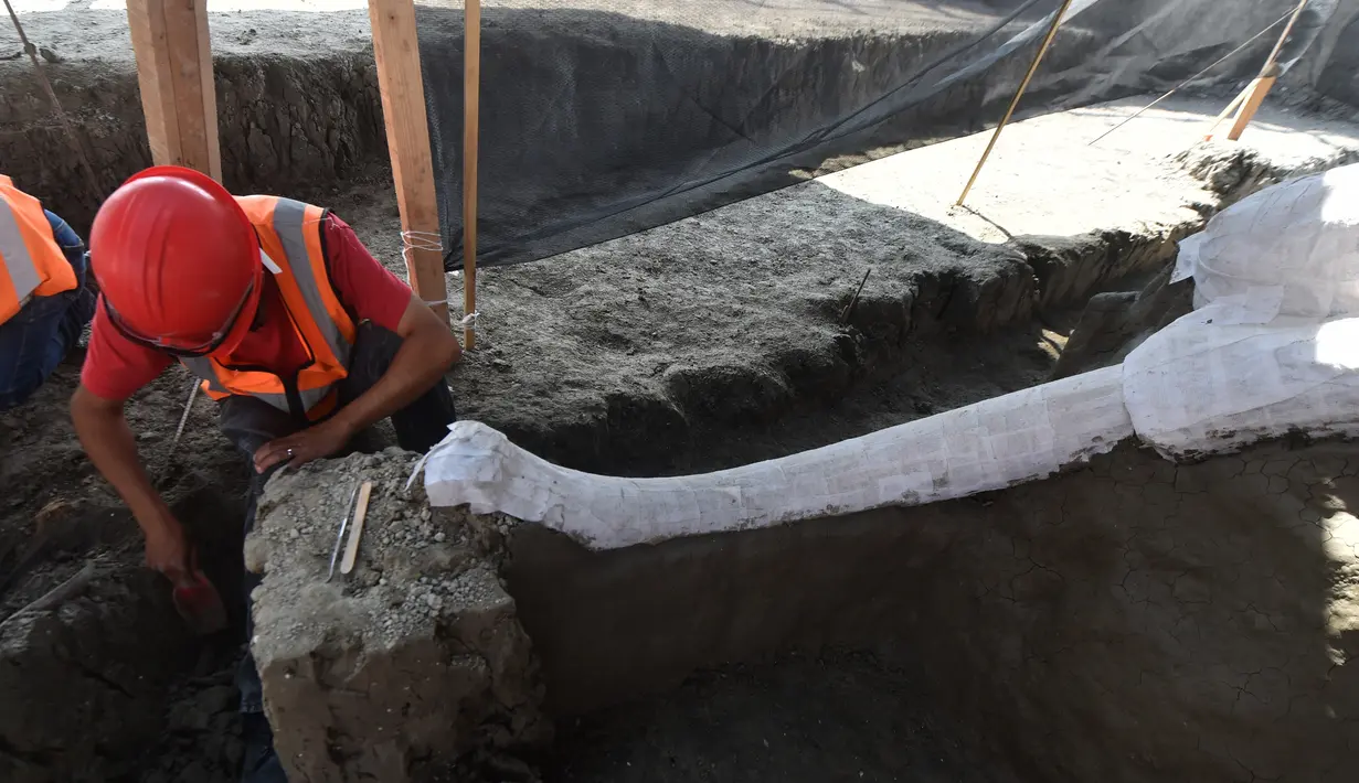 Ahli paleontologi dari Institut Antropologi Nasional bekerja menggali kerangka mammoth yang ditemukan di Pangkalan Militer Santa Lucia di Kotamadya Zumpango, Meksiko (8/9/2020). Setidaknya ada sekitar 200 fosil ditemukan di lokasi tersebut. (AFP/Rodrigo Arangua)