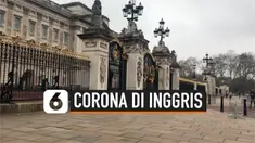 THUMBNAIL CORONA