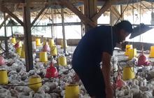 Antisipasi Peningkatan Permintaan Protein, Perusahaan Nutrisi Global Akusisi Perusahaan Indonesia